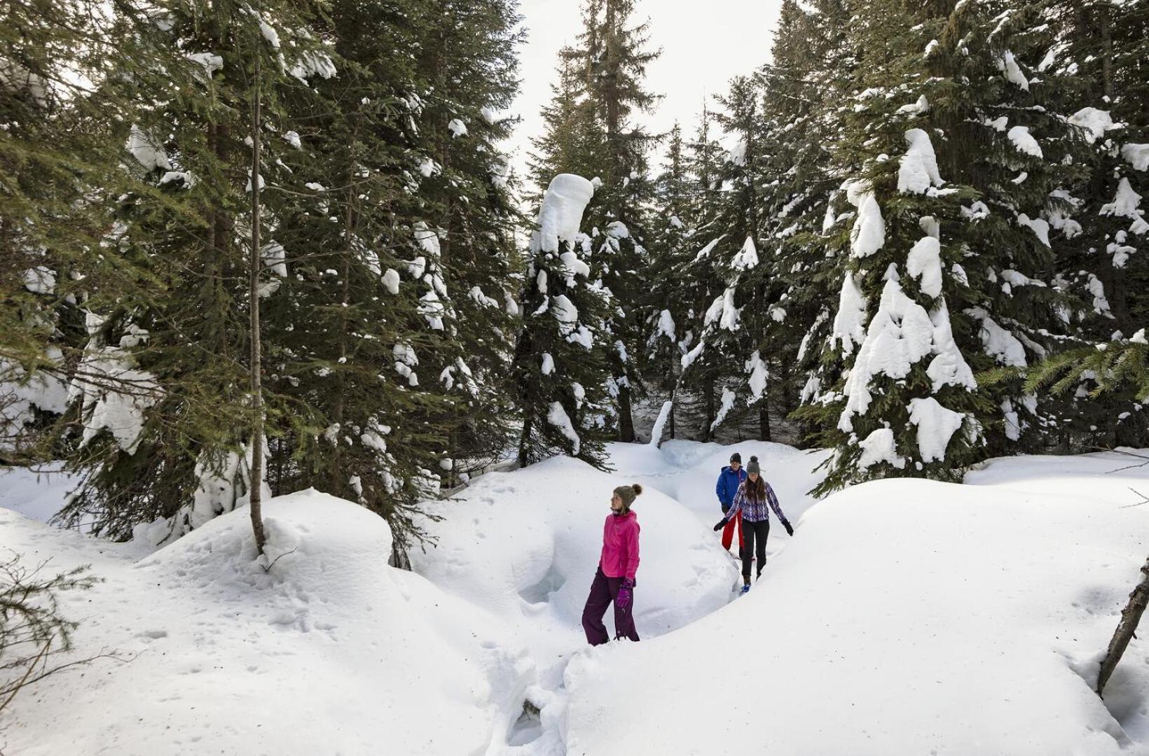 Soleil Chalet By Bear Country Sun Peaks Quarto foto